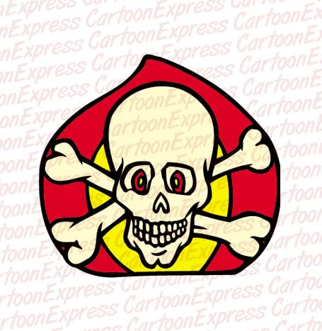 skull crossbones flame
